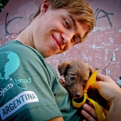 A teenage volunteer spends time socialising a young puppy at a dog shelter in Argentina. A Projects Abroad teenager working with animals in Argentina for the summer helps socialise a puppy at a shelter.